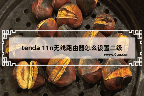 tenda 11n无线路由器怎么设置二级静态IP模式上网?