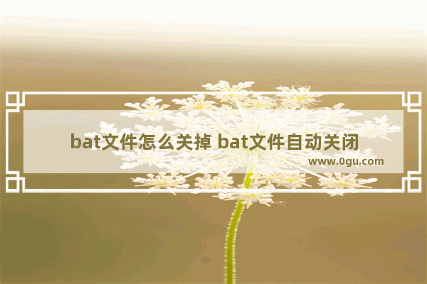 bat文件怎么关掉 bat文件自动关闭