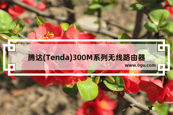 腾达(Tenda)300M系列无线路由器的上网设置方法