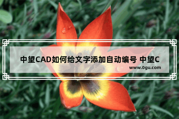 中望CAD如何给文字添加自动编号 中望CAD2023进行自动编号的方法