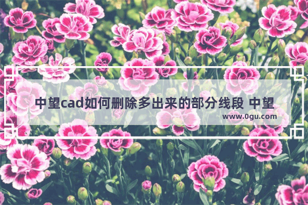 中望cad如何删除多出来的部分线段 中望CAD2023删除多余的线条的方法