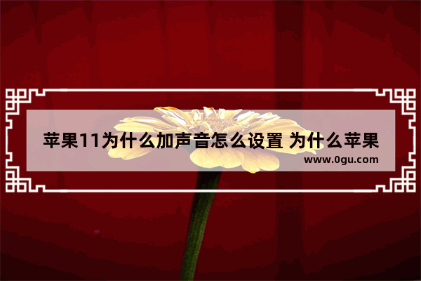 苹果11为什么加声音怎么设置 为什么苹果11声音这么小