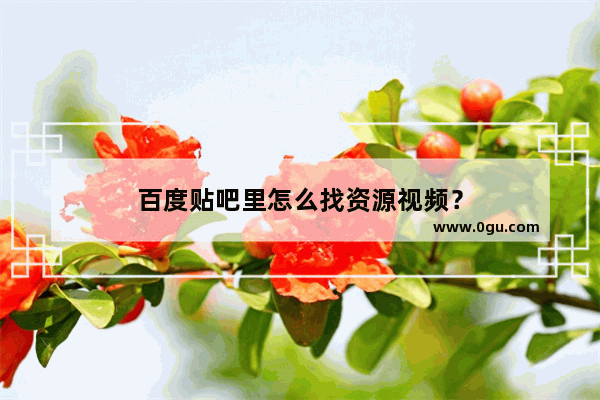 百度贴吧里怎么找资源视频？