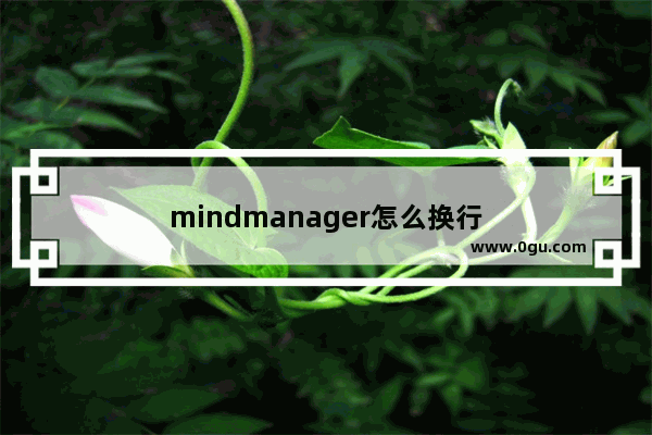 mindmanager怎么换行