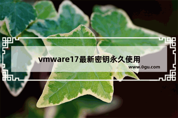 vmware17最新密钥永久使用