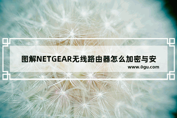 图解NETGEAR无线路由器怎么加密与安全功能设置方法