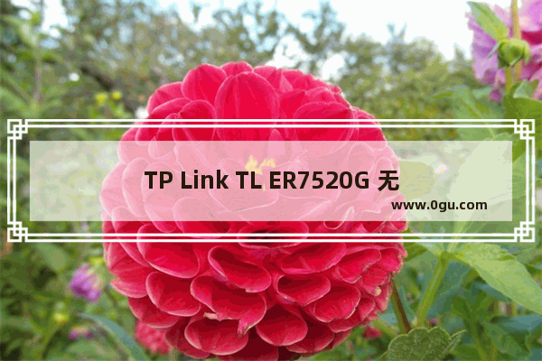 TP Link TL ER7520G 无线路由器策略路由（选路）功能设置指导