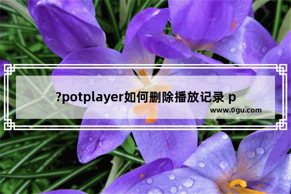 ?potplayer如何删除播放记录 potplayer中删除最近播放记录的方法教程