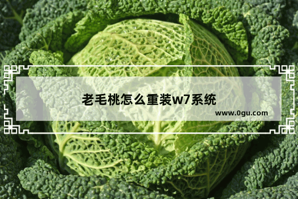 老毛桃怎么重装w7系统