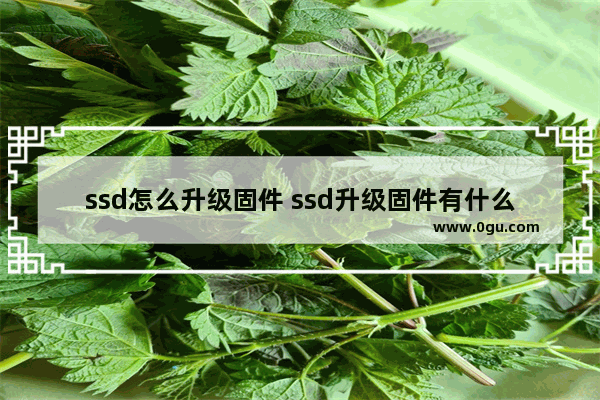 ssd怎么升级固件 ssd升级固件有什么用