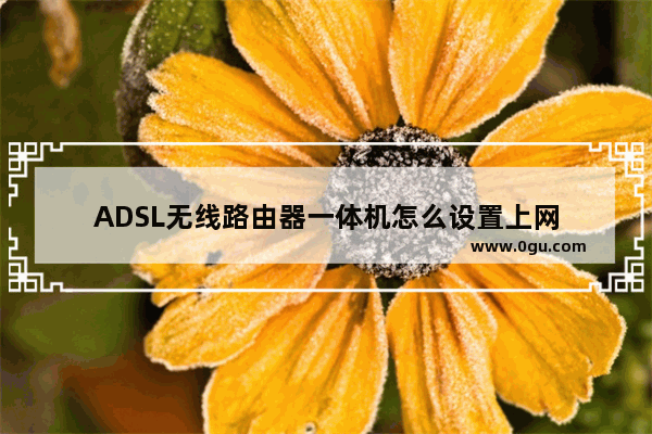 ADSL无线路由器一体机怎么设置上网