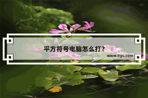 平方符号电脑怎么打？