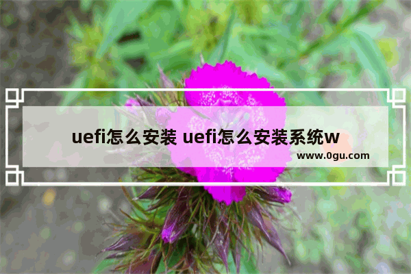 uefi怎么安装 uefi怎么安装系统win10