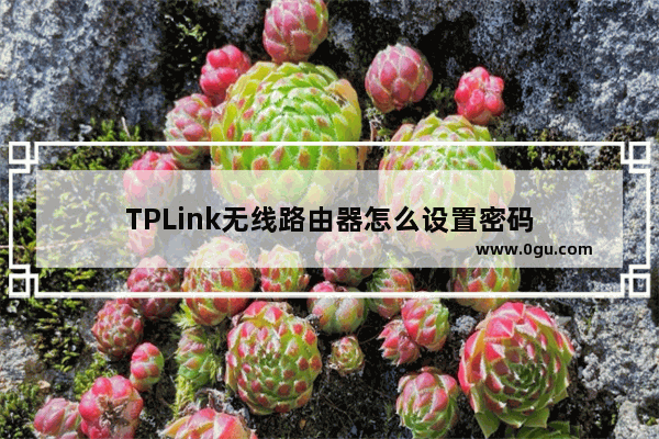 TPLink无线路由器怎么设置密码