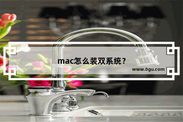 mac怎么装双系统？