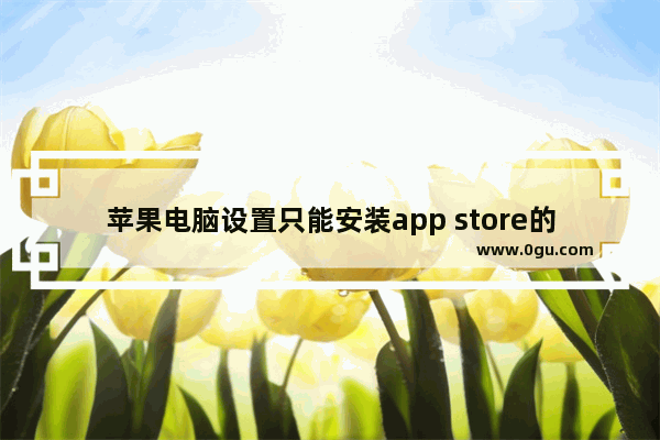 苹果电脑设置只能安装app store的软件