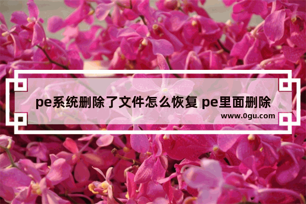 pe系统删除了文件怎么恢复 pe里面删除文件可以找回来吗