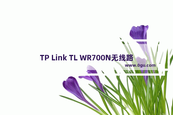 TP Link TL WR700N无线路由器设置上网方法