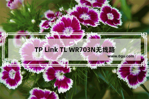 TP Link TL WR703N无线路由器中继模式(Repeater)设置上网