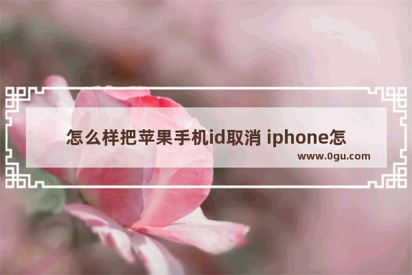 怎么样把苹果手机id取消 iphone怎么取消id