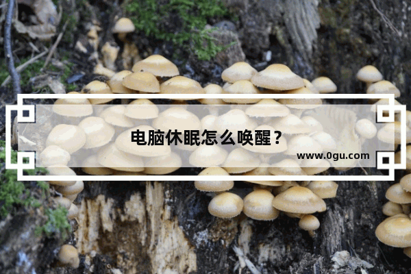 电脑休眠怎么唤醒？