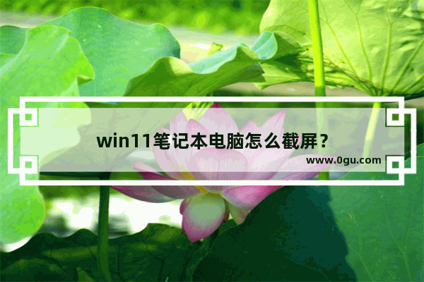 win11笔记本电脑怎么截屏？