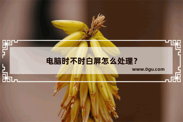 电脑时不时白屏怎么处理？