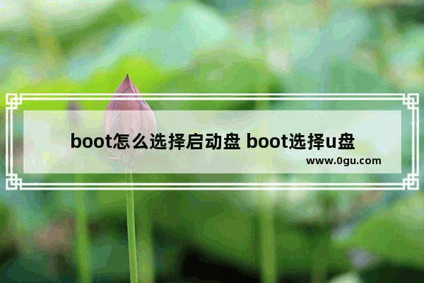 boot怎么选择启动盘 boot选择u盘启动