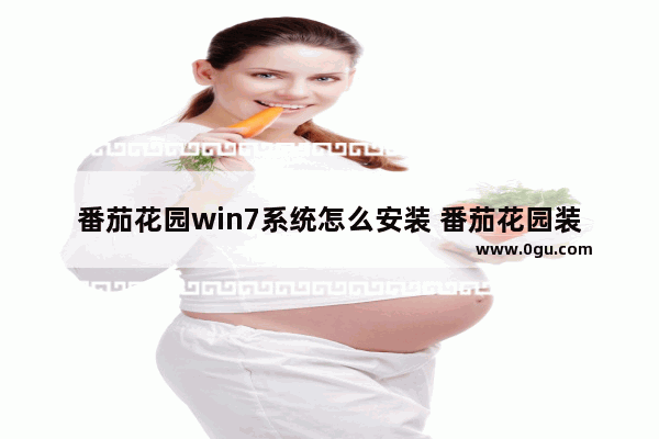 番茄花园win7系统怎么安装 番茄花园装机系统