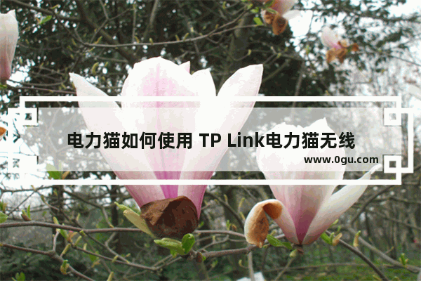 电力猫如何使用 TP Link电力猫无线路由器设置方法【介绍】