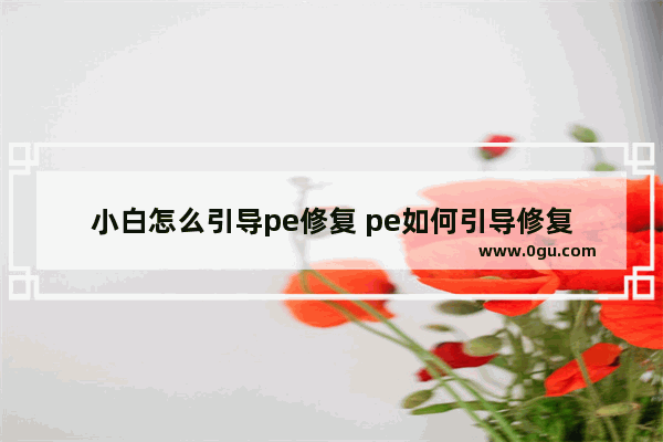 小白怎么引导pe修复 pe如何引导修复