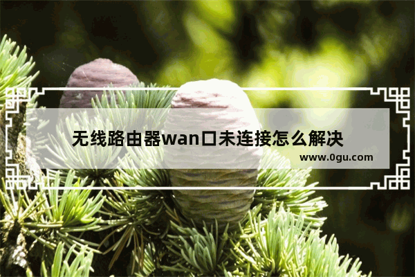 无线路由器wan口未连接怎么解决