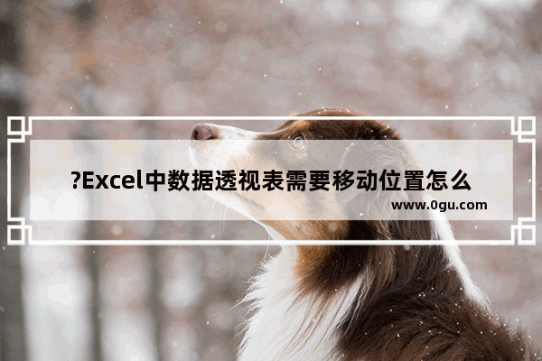 ?Excel中数据透视表需要移动位置怎么办 Excel表格移动数据透视表的方法教程