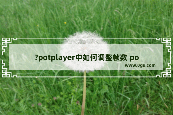 ?potplayer中如何调整帧数 potplayer中调帧率的方法教程