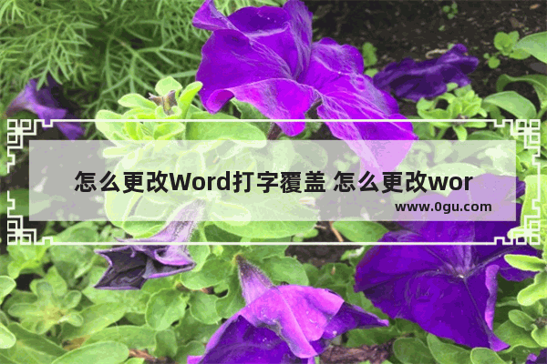 怎么更改Word打字覆盖 怎么更改word打字覆盖字体