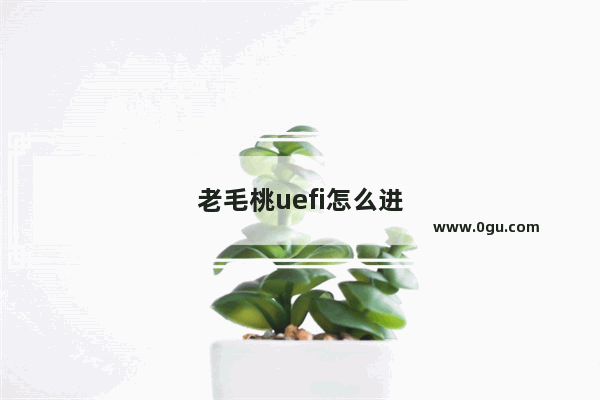 老毛桃uefi怎么进