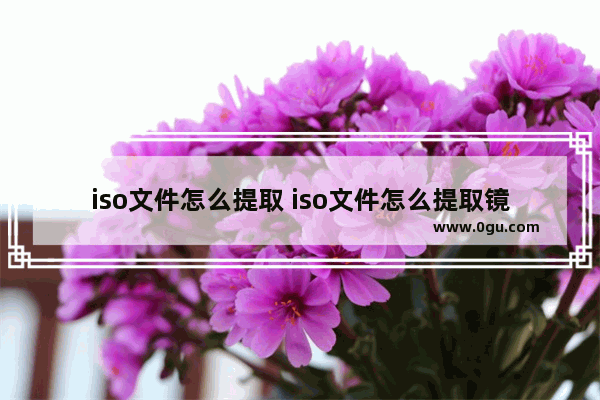 iso文件怎么提取 iso文件怎么提取镜像