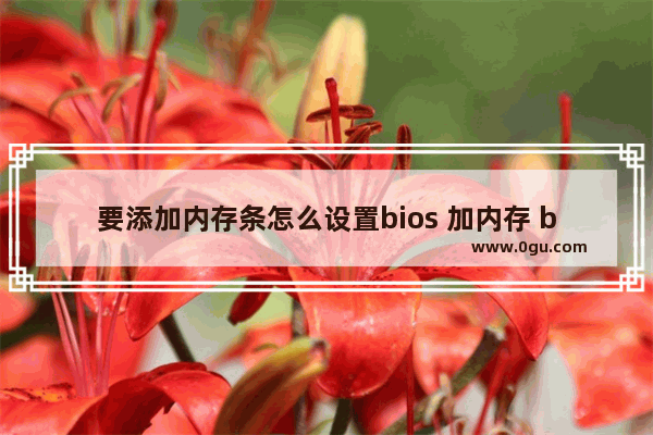 要添加内存条怎么设置bios 加内存 bios设置