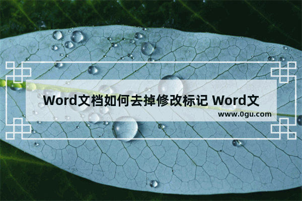 Word文档如何去掉修改标记 Word文档去掉修改标记的方法