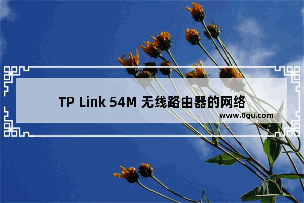 TP Link 54M 无线路由器的网络参数设置(多图详解)