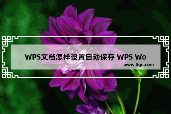 WPS文档怎样设置自动保存 WPS Word文档设置自动保存的方法