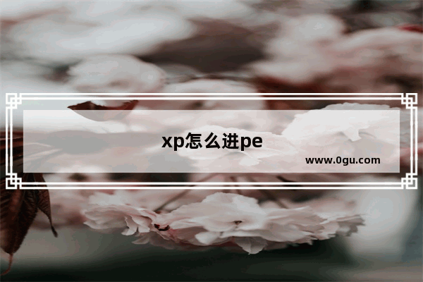 xp怎么进pe