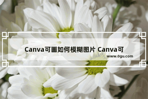 Canva可画如何模糊图片 Canva可画模糊图片的方法