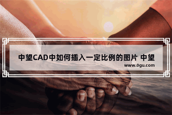 中望CAD中如何插入一定比例的图片 中望CAD 2023插入一定比例的图片的方法