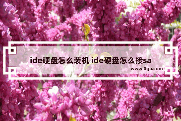 ide硬盘怎么装机 ide硬盘怎么接sata