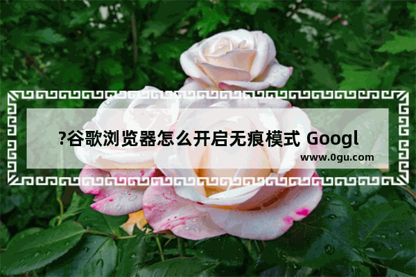 ?谷歌浏览器怎么开启无痕模式 Google Chrome设置无痕浏览的方法教程