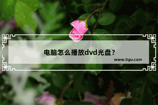 电脑怎么播放dvd光盘？