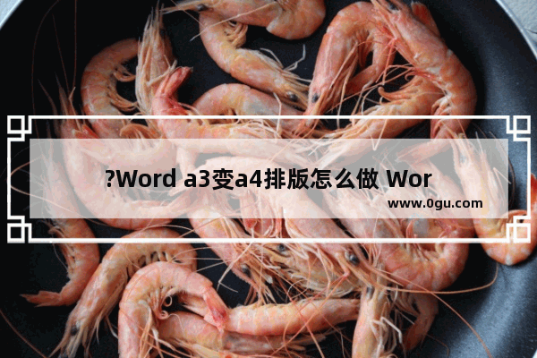 ?Word a3变a4排版怎么做 Word文档中正确将纸张设置为A4大小的方法教程