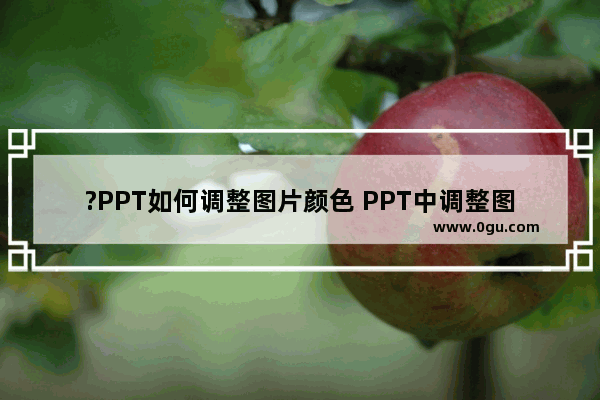 ?PPT如何调整图片颜色 PPT中调整图片颜色的方法教程