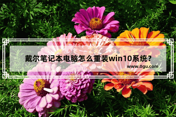 戴尔笔记本电脑怎么重装win10系统？